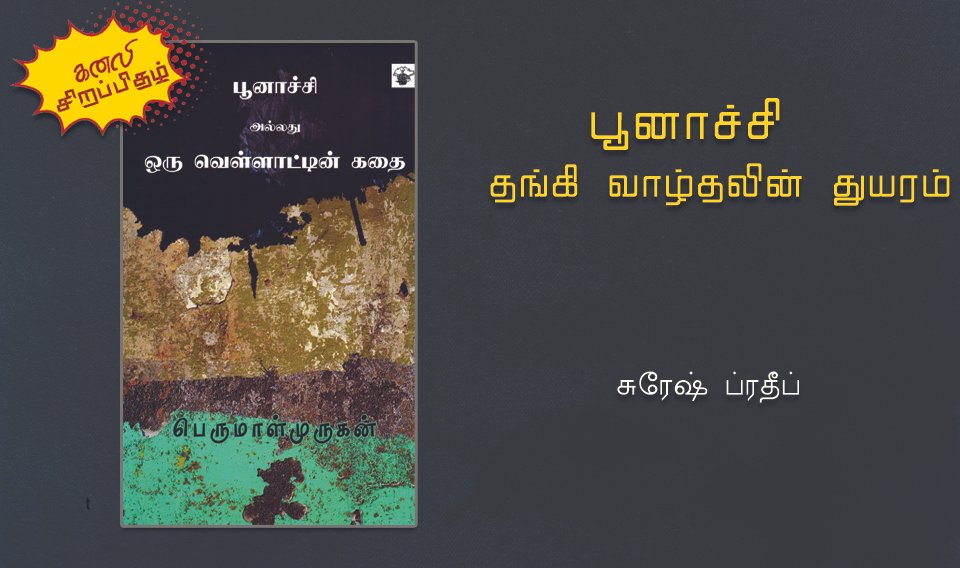 பூனாச்சி – தங்கி வாழ்தலின் துயரம்