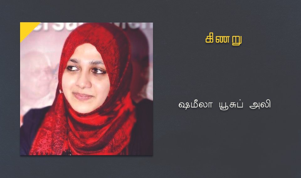 shmeela pettagam story