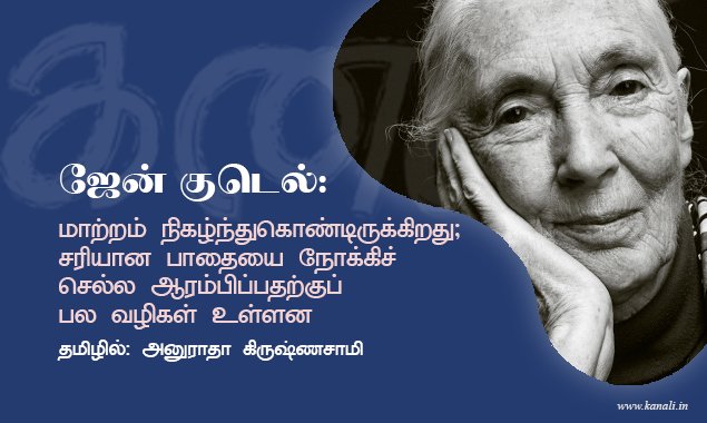 ஜேன் குடெல்: மாற்றம் நிகழ்ந்துகொண்டிருக்கிறது; சரியான பாதையை நோக்கிச் செல்ல ஆரம்பிப்பதற்குப் பல வழிகள் உள்ளன