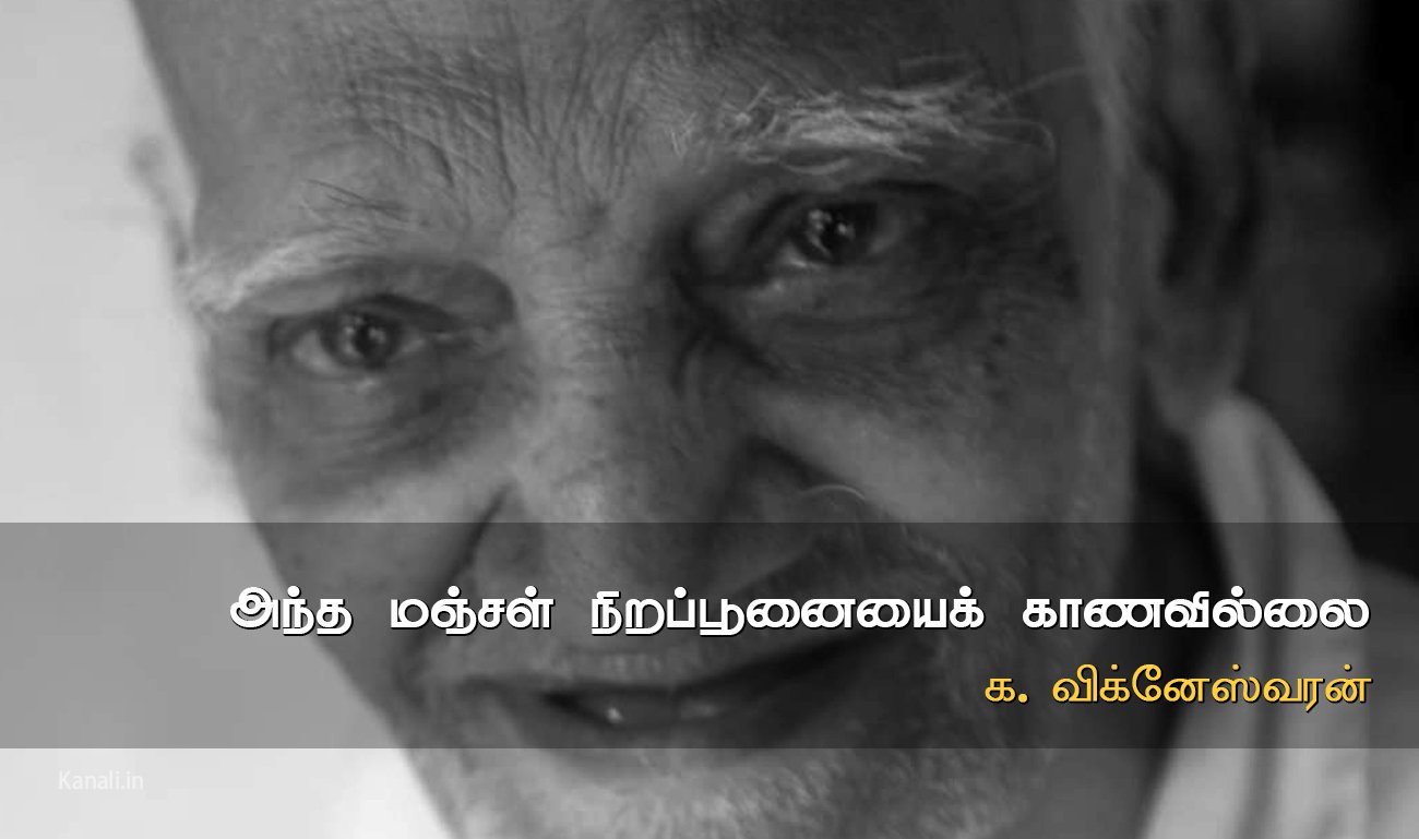 அந்த மஞ்சள் நிறப் பூனையைக் காணவில்லை