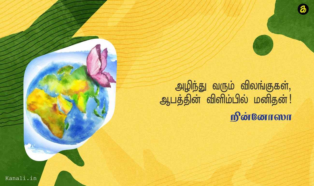அழிந்து வரும் விலங்குகள், ஆபத்தின் விளிம்பில் மனிதன்-றின்னோஸா