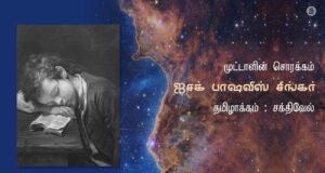 முட்டாளின் சொர்க்கம்