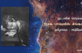 முட்டாளின் சொர்க்கம்