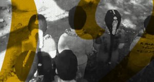 புல்லின் வாசம் -ஆ.ஆனந்தன்