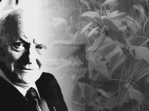 ஸ்லதே என்னும் ஆடு-ஐசக் பாஷவிஸ் சிங்கர்