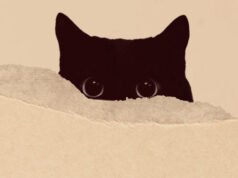 நுண்கதைகள்