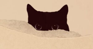 நுண்கதைகள்