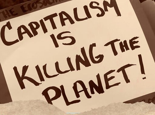 முதலாளித்துவம் எவ்வாறு நம்மை இயற்கையிடமிருந்து துண்டிக்கிறது-அனிதா வாட்டர்ஸ்