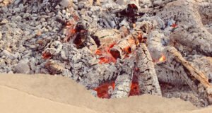 மூடுதழல்