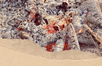 மூடுதழல்